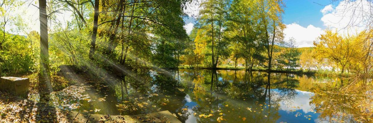 Ferienwohnung Saalhausen Sauerland Lennestadt Esterno foto