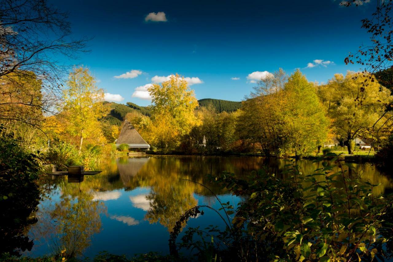 Ferienwohnung Saalhausen Sauerland Lennestadt Esterno foto