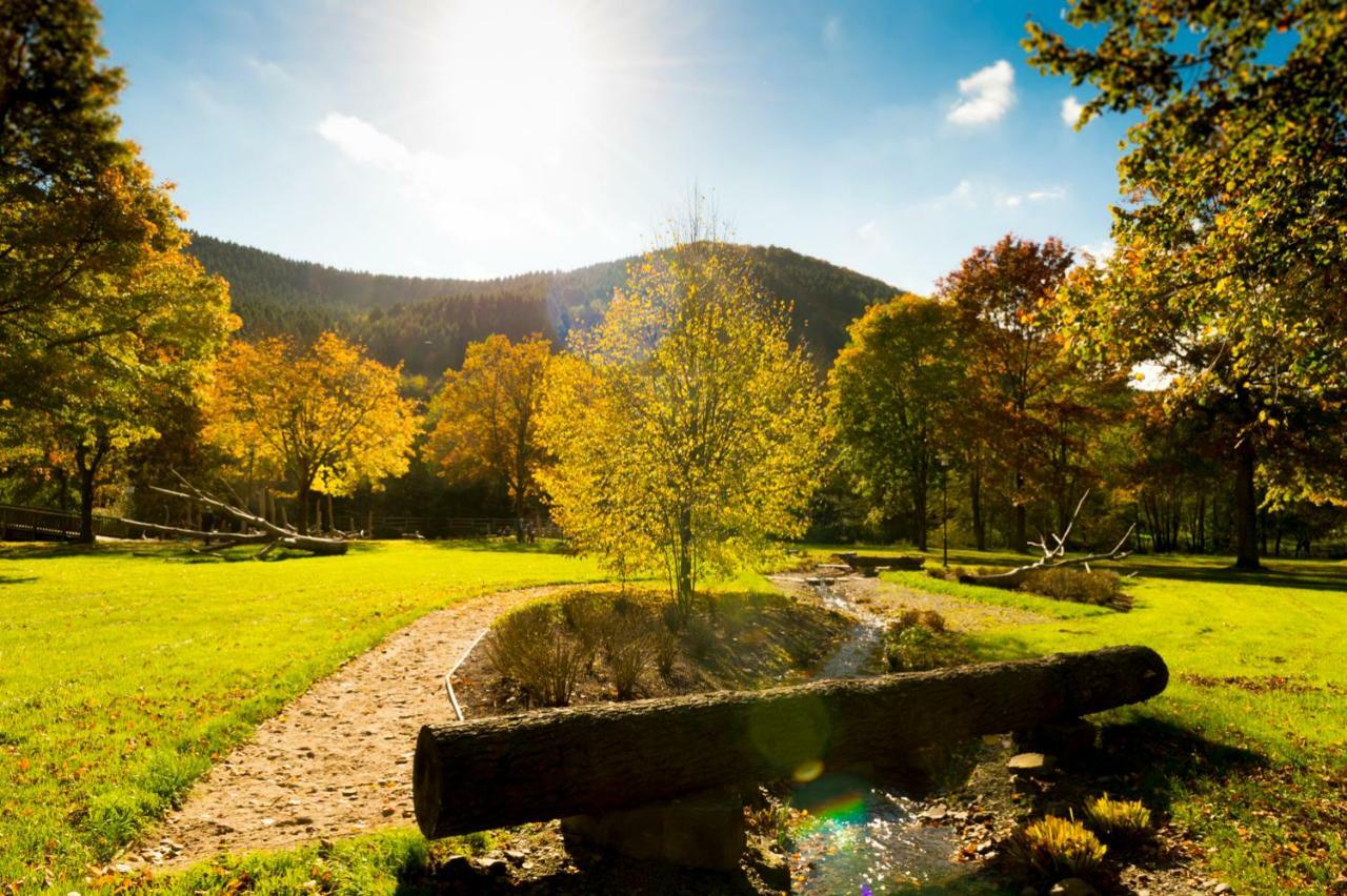 Ferienwohnung Saalhausen Sauerland Lennestadt Esterno foto